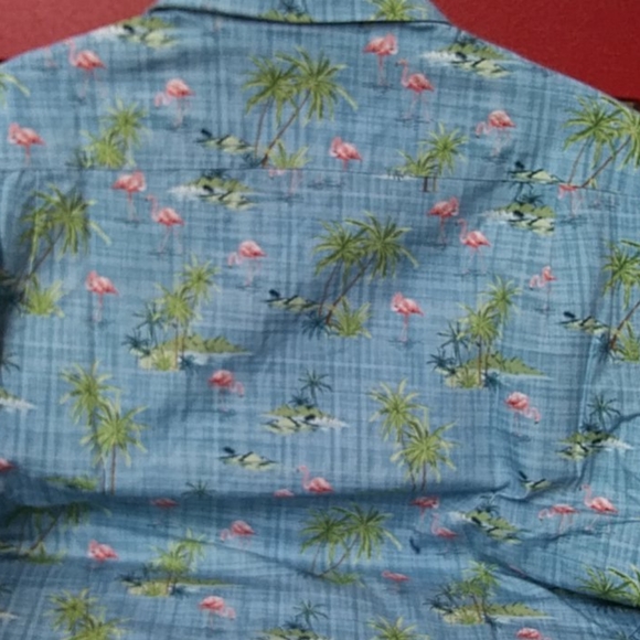 Men's Caribbean Short Sleeve Flamingos Shirt - Picture 3 of 4